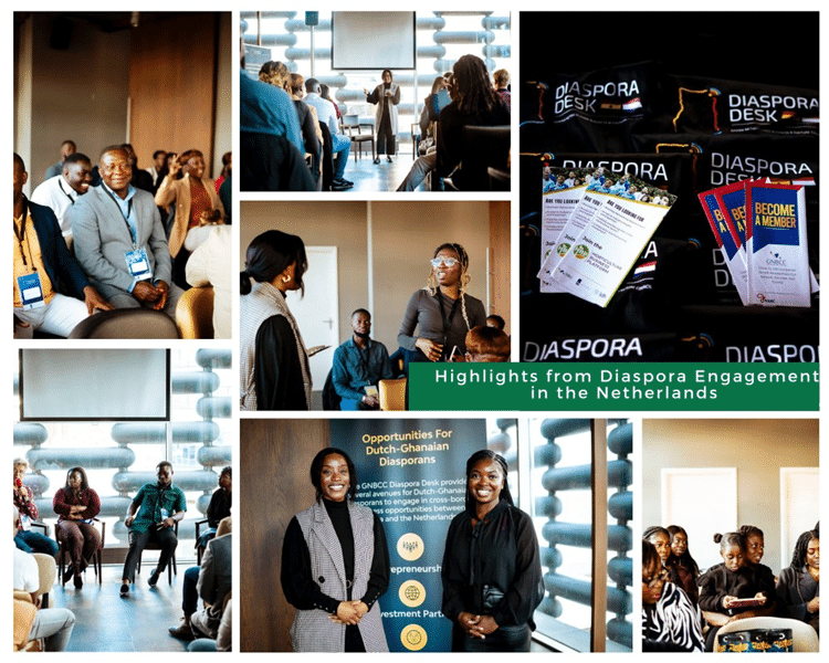Diaspora engagement session in the Netherlands