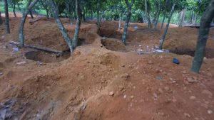 illegal miners ransack cocoa farms in eastern region cocobod alerts of dark eco